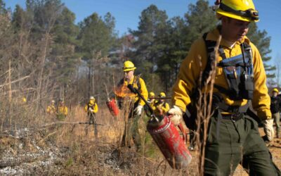 Prescribed Burns Completed At Savage Gulf Natural Area
