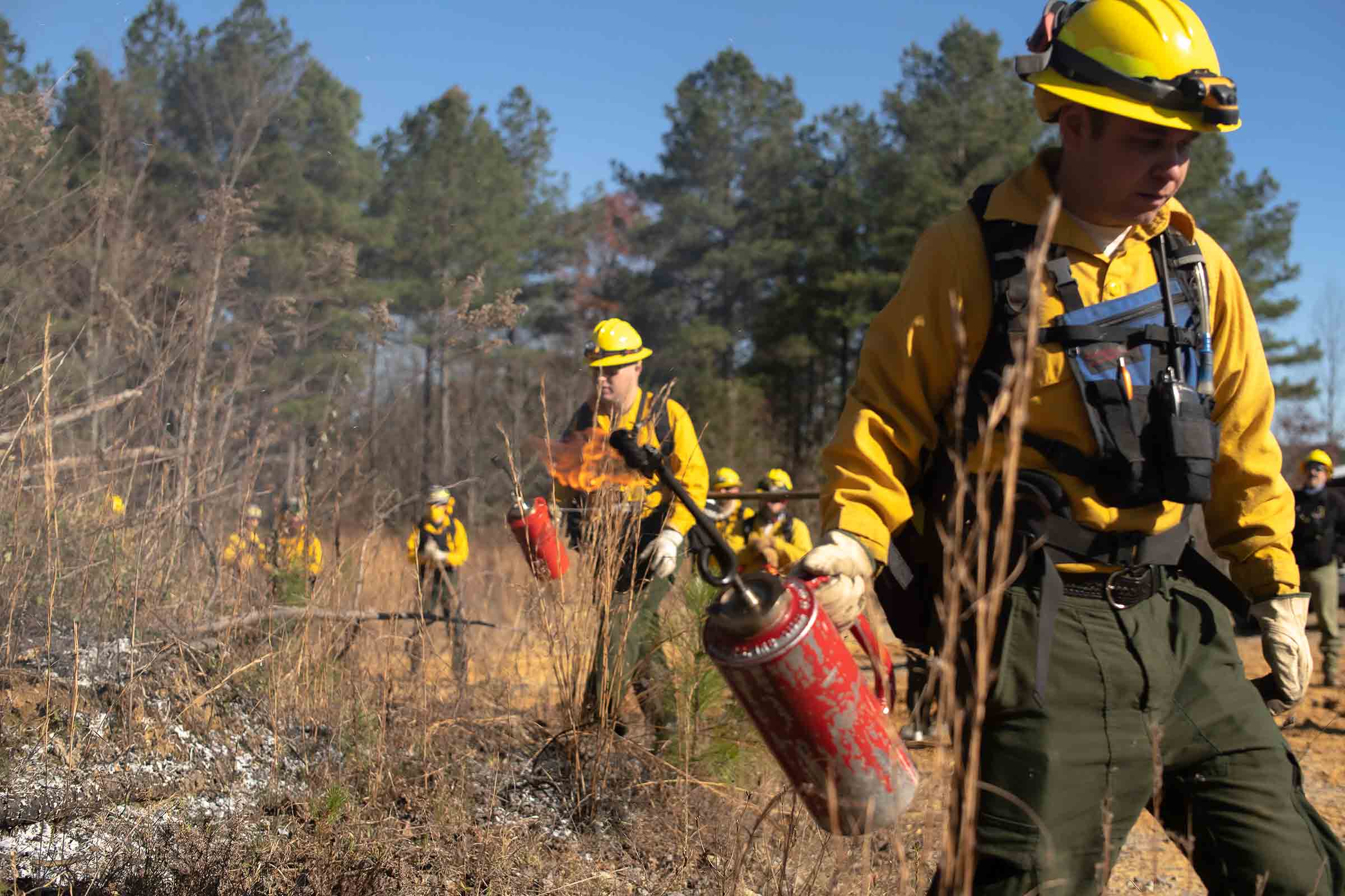 Prescribed fire crew safely starting the fire at Savage Gulf
