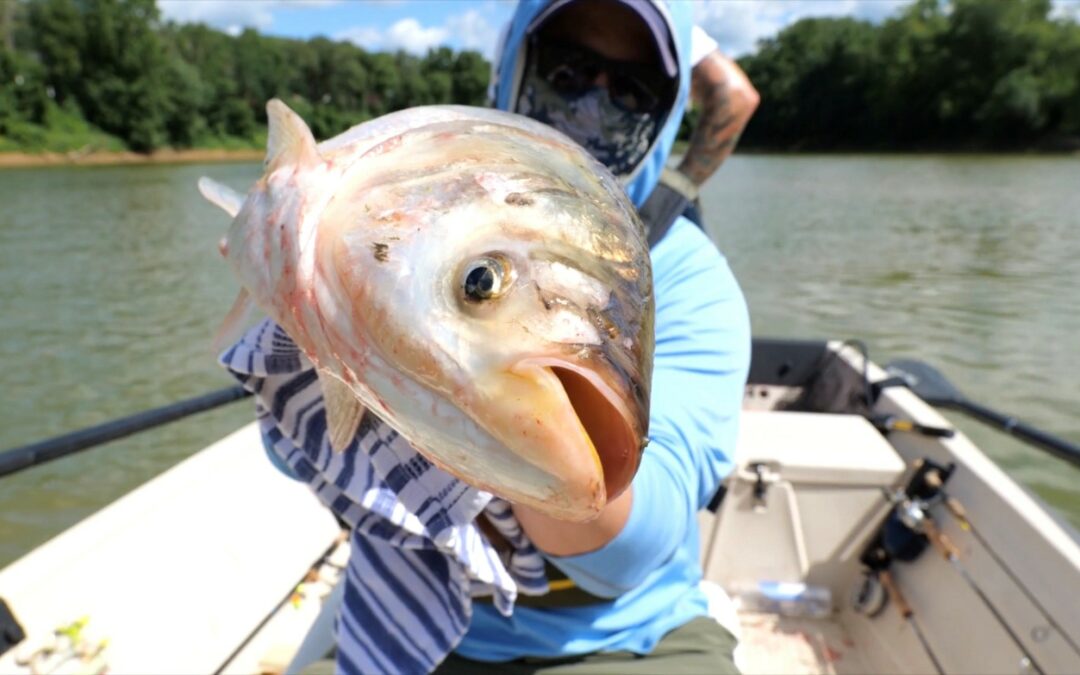 Blocking and Tackling To Stop Invasive Carp on a National Scale