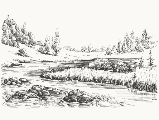 Stream and field illustration