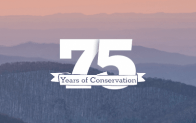 75 Years of Conservation: Conservation is Collaborative