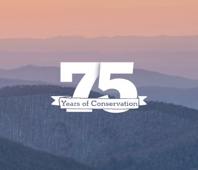 Cool-toned mountain landscape. The blue-gray mountains rest in the fog beneath a pale orange sky. A logo is overlaid that says, "75 years of conservation."
