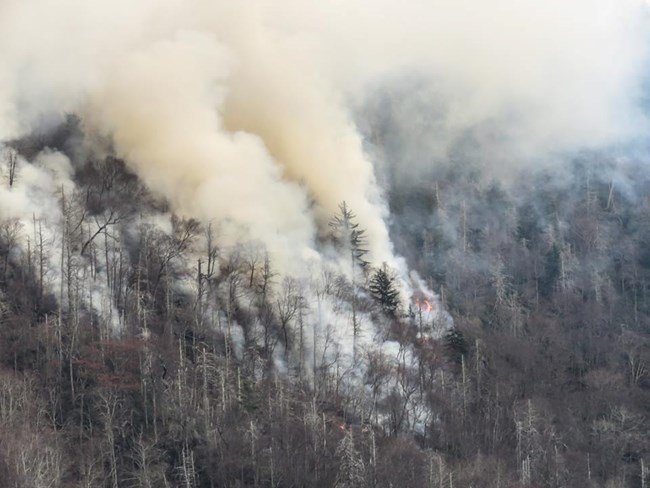 Smoke billowing from a wildfire on Chimney Tops in east Tennessee.