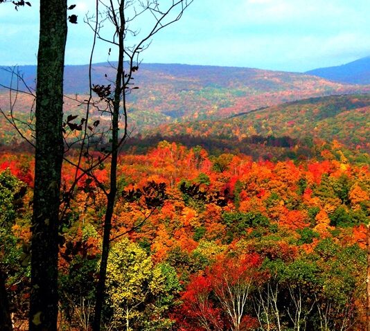 Fall mountain view. A mix of orange, red, yellow, and green trees cover the landscape.