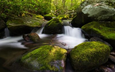 Advancing Funding for the Land and Water Conservation Fund