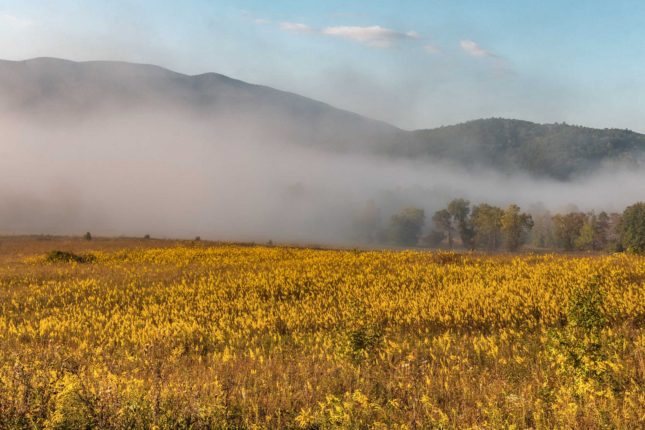 Grassland field with mountain in background