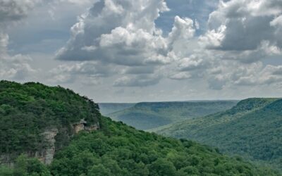 Federation to Restore 5,400 Acres of Cumberland Plateau Habitat