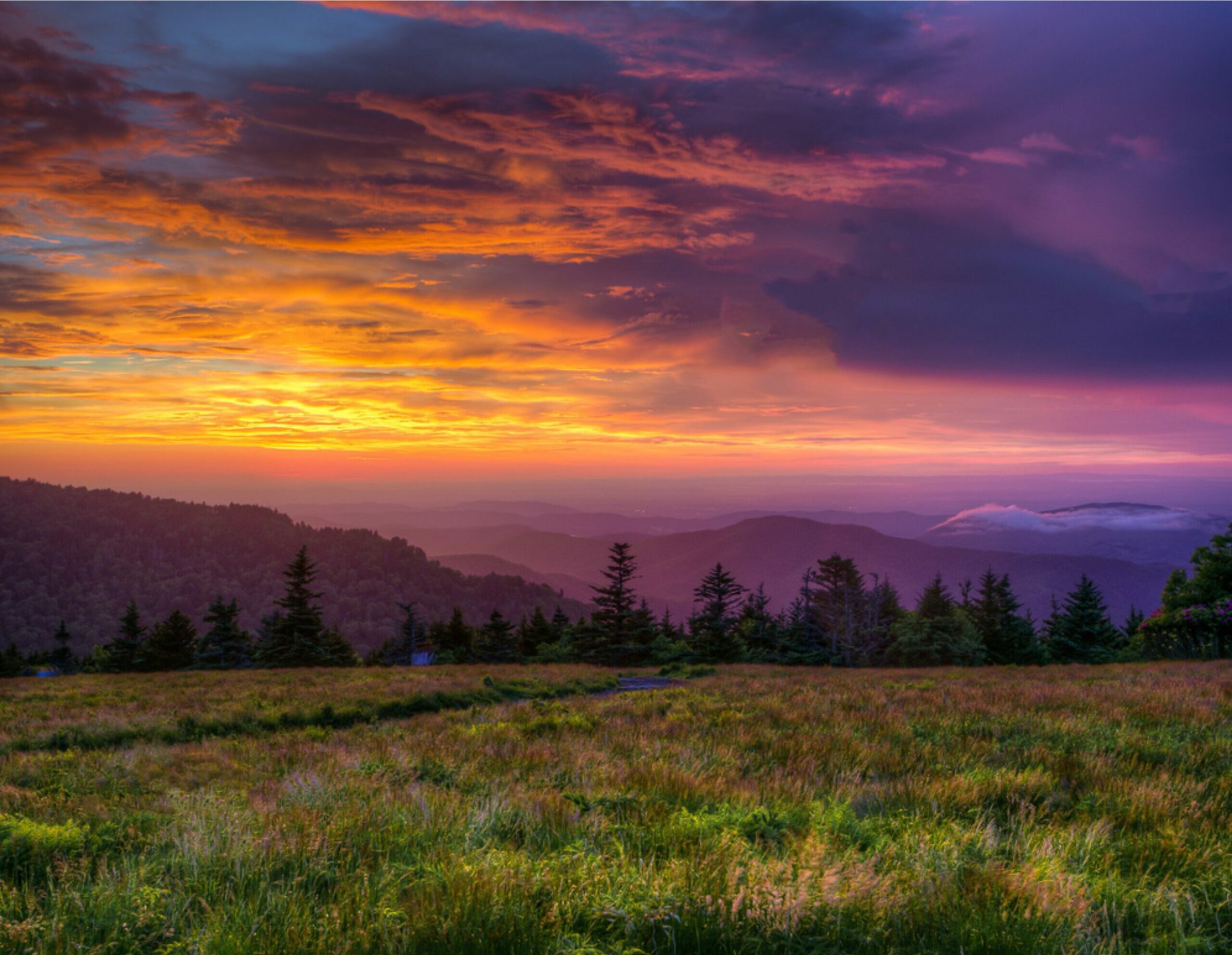 2nd Place Landscape Winner, "Sunset over Roan Mountain State Park" by Josh Tullock. Photo features a saturated sunset over a meadow of flowers and wild grasses, looking out onto the valley in the distance