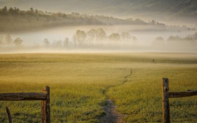 Being The Voice For Wildlife And Sportsmen on The Hill