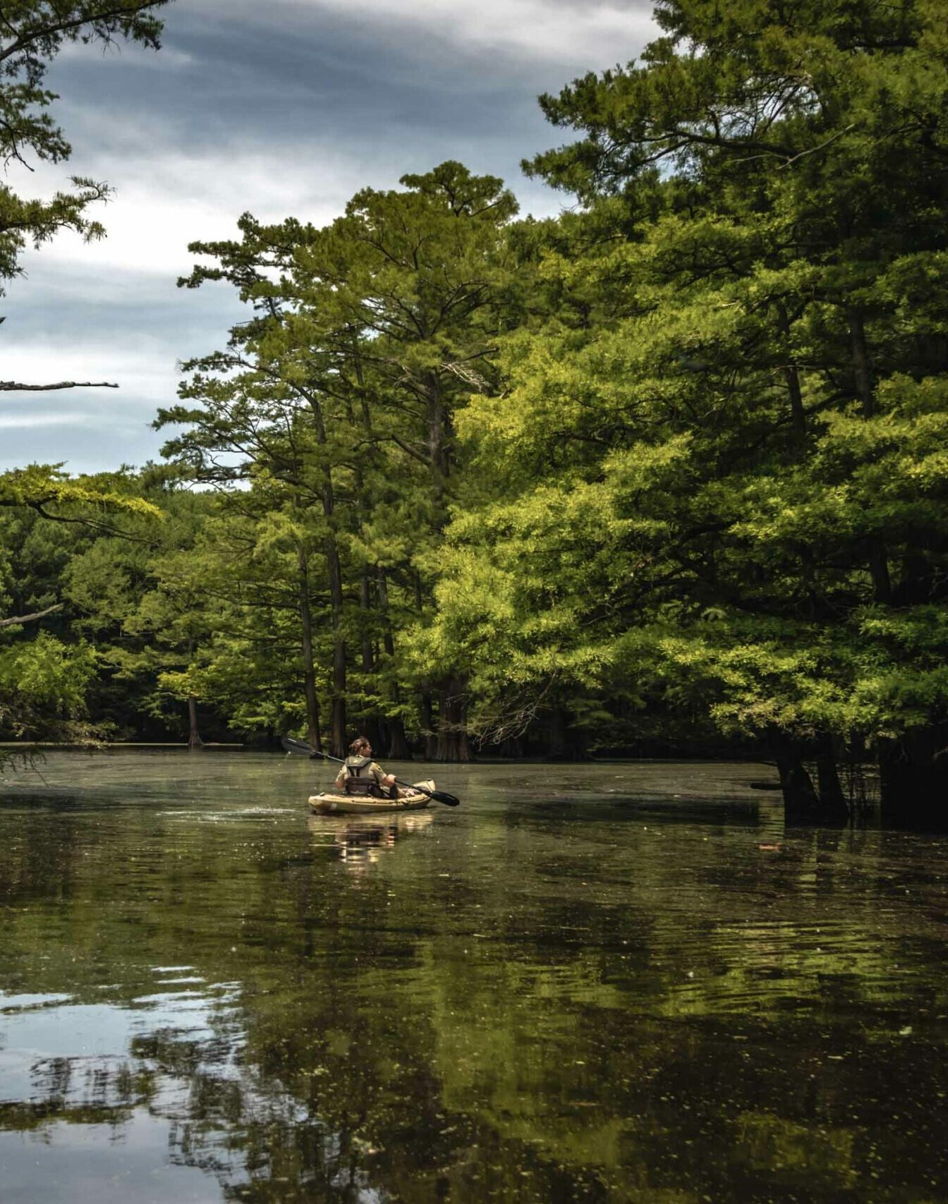 Kayaker in swamp