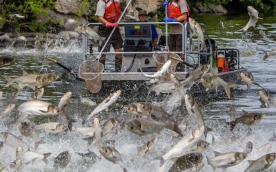 Federation Helps Secure Much-Needed Federal Funds for Invasive Carp Control