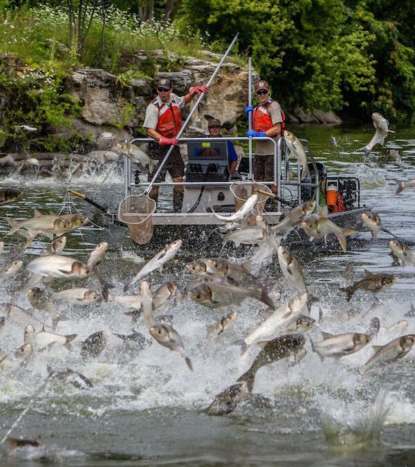 Federation Helps Secure Much-Needed Federal Funds for Invasive Carp Control