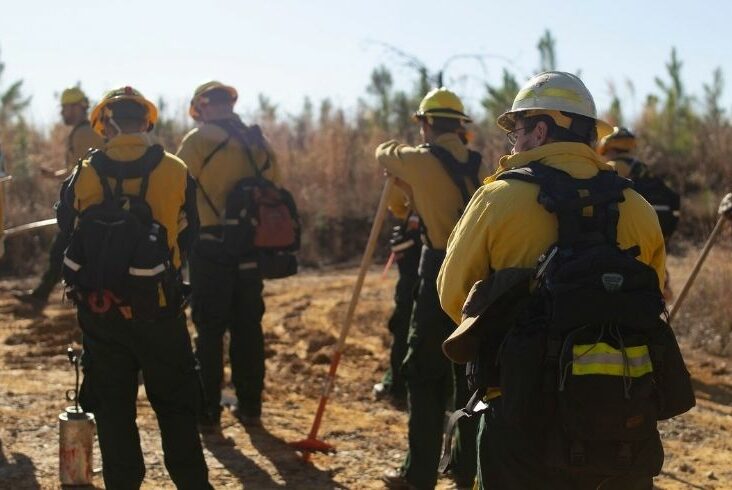 Fire crews getting ready to safely conduct prescribed burns at Savage Gulf Natural Area.