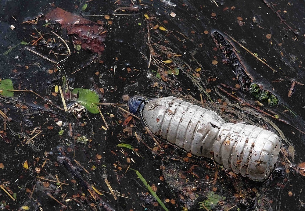 Bottle in water