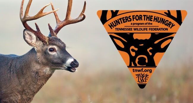 Mature deer in a field with the Hunters for the Hungry Logo