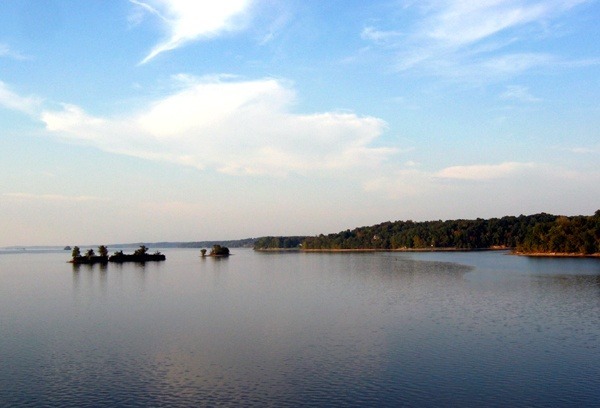 Best fishing spot on Tennessee's Reelfoot Lake for bluegill fish