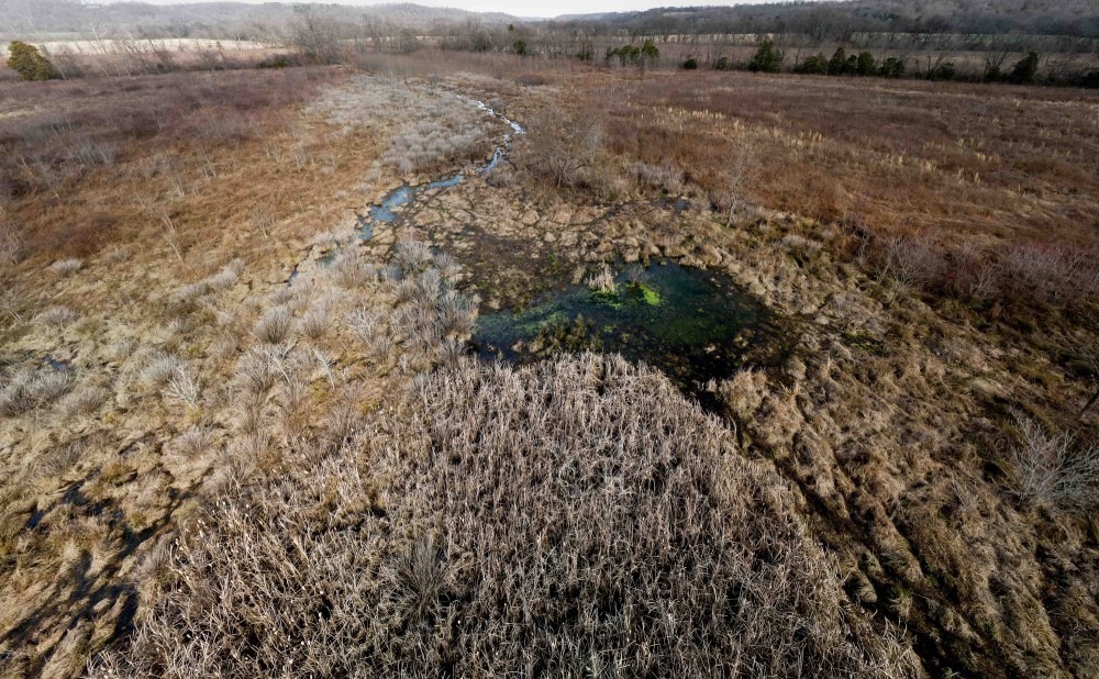 Wetland on the Buffalo River before restoration
