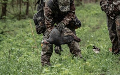 Turkey Hunting: To Decoy or Not to Decoy?