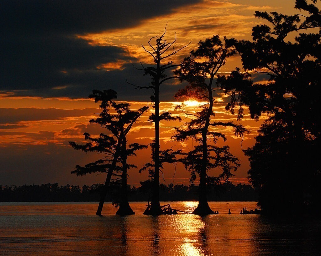 The sun sets down on Reelfoot Lake.