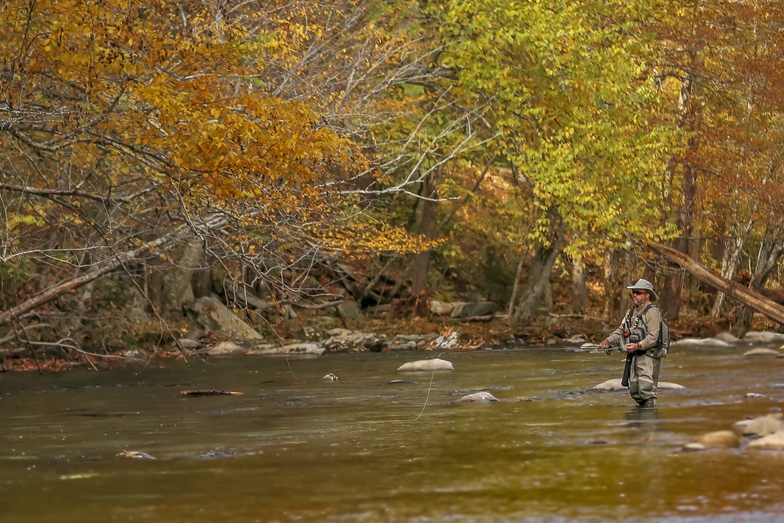 An angler fly fishes in the Tennessee outdoors.