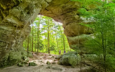 Top 10 Places to Recreate Outside in Tennessee