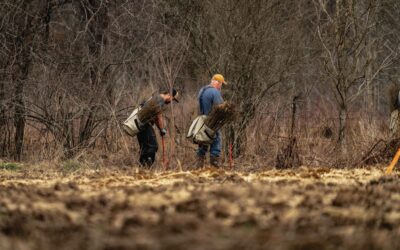 Repairing Nature Through Habitat Restoration