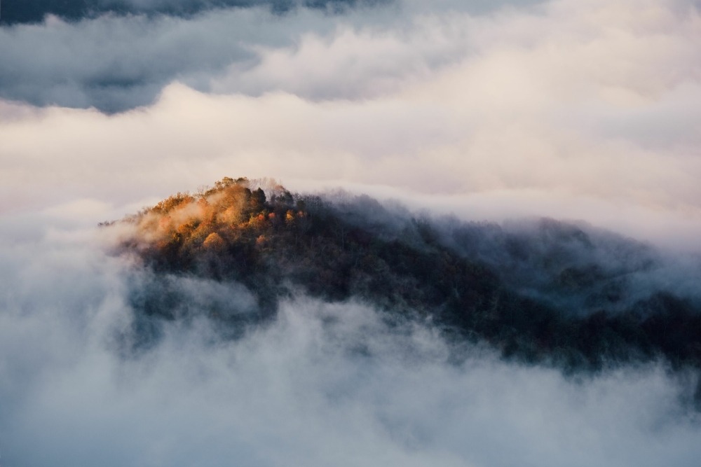 Sunrise on a tree-topped mountain poking through the clouds. Photo by Bobby Russell.