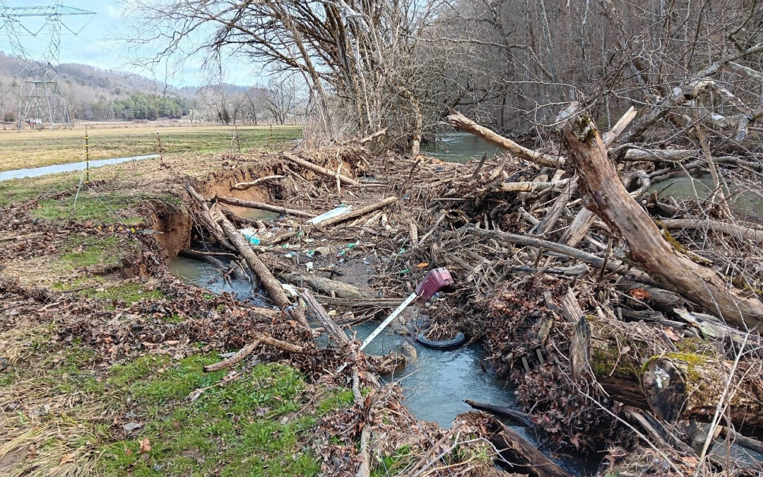 Strategic Stream Restoration in East TN