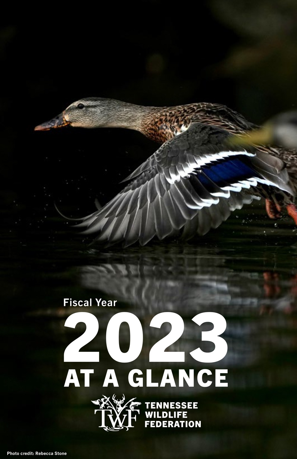2023 At A Glance