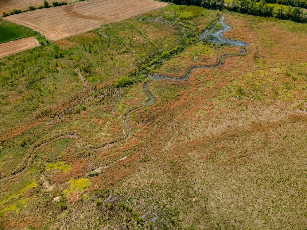 Overhead view of the restored stream channel and surrounding wetland at the West Fork Drakes Creek restoration site.