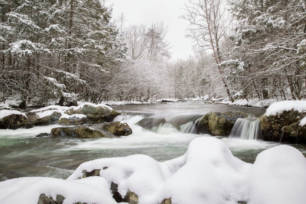 "Ramsey Prong in Winter" by Jessica Hill, 2025 Landscape 3rd place