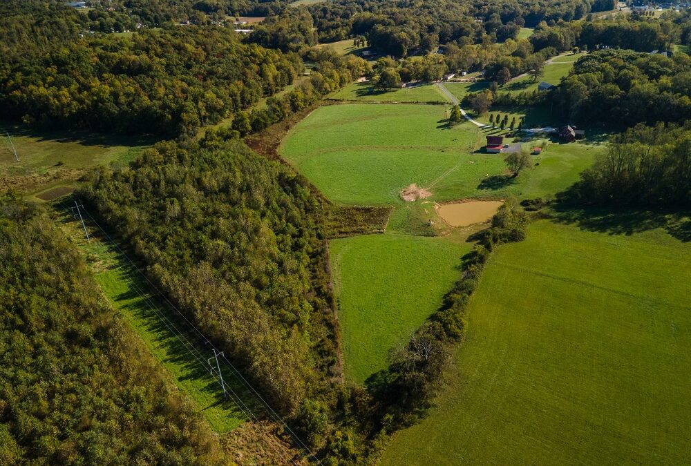 Reviving Tennessee: Cane Creek