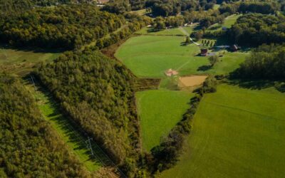 Reviving Tennessee: Cane Creek