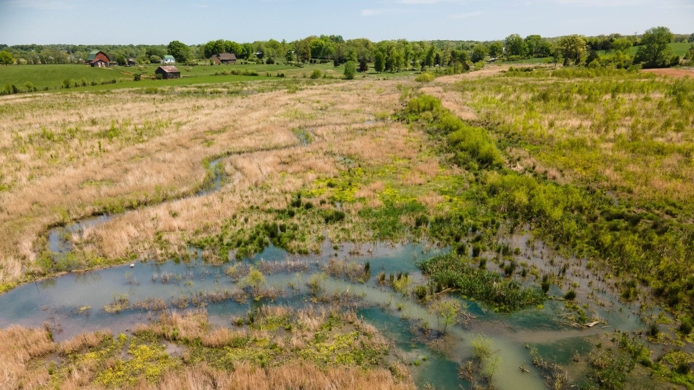 Aerial view of a wetland in Middle Tennessee.