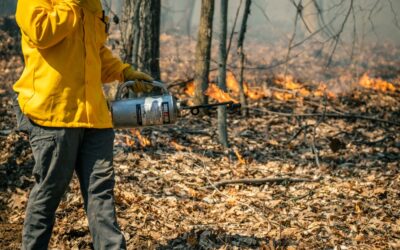 The Benefits of Prescribed Fire